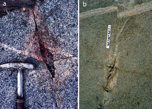 Outcrop photos showing pull-aparts filled with epidote along left-lateral strike-slip faults in granodioritic rocks, Sierra Nevada, California. (a) from Segall and Pollard (1983), and (b) from Pollard and Fletcher (2005).