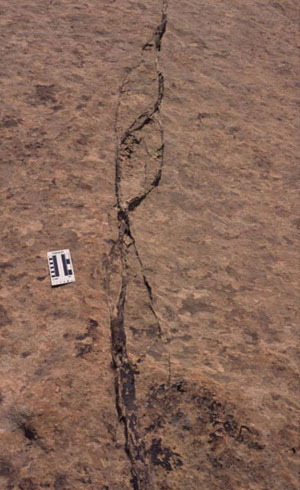 Interacting segments of a shear band zone in the Entrada Sandstone cropping out in Arches National Park, UT.