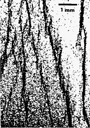 Thin section images of segmented pressure solution seams in detrital rocks of the northern Appalachian Plateau. Note that these structures were identified as 'cleavages' by the original authors. From Geiser and Engelder (1983).