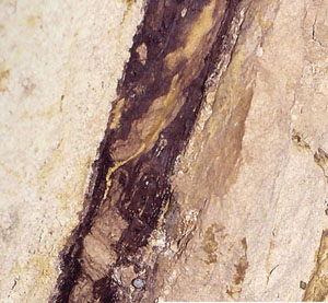 Outcrop photo of shale in fault zone in the Black Diamond Mine, California. From Eichhubl et al. (2004).