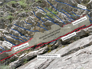 Three sets of pressure solution sets in platform carbonate rock outcropping at the Vallone Santo Spirito, Maiella Mountain, central Apennines, Italy. The bedding is due to a set of bed-parallel pressure solution seams and is mechanical in origion. Highlighted is one pressure solution seam normal to bedding and along the dip direction, which has many pressure solution seams (blue) at splay orientation. These seams are also in splay orientation to the bed-parallel set.
