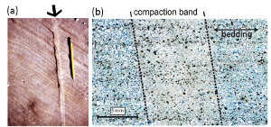 Field photograph (a) and photomicrograph (b) of a single compaction band in Aztec Sandstone, Valley of Fire State Park, Nevada. (a) from Aydin et al. (2006) and (b) from Sternlof et al. (2005).