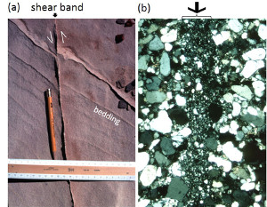 A photograph (a) and a thin section image (b) of a single shear band in Entrada Sandstone, San Rafael Desert (Utah). The offset of the bedding is about 5 mm and the thickness in the thin section is about 1 mm. From Aydin et al. (2006).