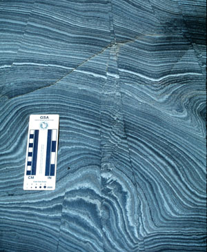 Photo shows several small, predominantly dip-slip faults offsetting nearly flat-lying thin-bedded siliceous shale for a few millimeters to a few centimeters in a rock quarry. South-central coastal California. Note both centimeter (left-hand side) and inch (right-hand side) scales.