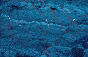 Two sets of predominatly strike-slip faults with right- and left-lateral slip in a sequence of thinly-bedded sedimentary rocks exposed at the shoulder of the Lovell Wash at the Lake Mead region (see the map in the next figure for the structural frame).