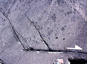 Splay joints, opening fractures inclined at the sheared fracture at high-angle on a glaciated nearly horizontal surface in granodiorite, Donner Pass, Sierra Nevada. White half-arrow head on upper block shows sense of shearing and scale bar on the lower block is 10 cm long. See Aydin et al. (2002) for additional photographs and maps from the same area.