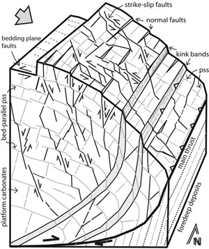 ceptual model for the structures and their orientation along the leading edge of the Maiella thrust sheet, Italy. Light gray thin-lines depict the three mutually orthogonal sets of pressure solution seams (bed-parallel, and bed-perpendicular, either strike-parallel or deep-parallel) and their sheared versions. Kink folds with associated reverse faults, antithetic and synthetic normal faults, and two sets of left- and right-lateral strike-slip faults with an apparent conjugate pattern characterize the complex nature of the deformation along the leading edge of the Maiella thrust sheet. Many of these structures appear to partially overlap in space and time. From Aydin et al. 2009.