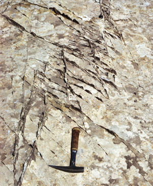Two sets of shear bands with right-and left-lateral strike-slip sense of offset on a Navajo Sandstone pavement exposed at the Iron Wash, San Rafael Desert, Utah. From Aydin (1977).