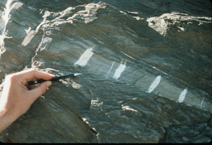 Fracture (vein) spacing in a limestone layer within a carbonaceous shale, Tennessee. Note that the thickness of the limestone layer increases towards the left as does the vein spacing.